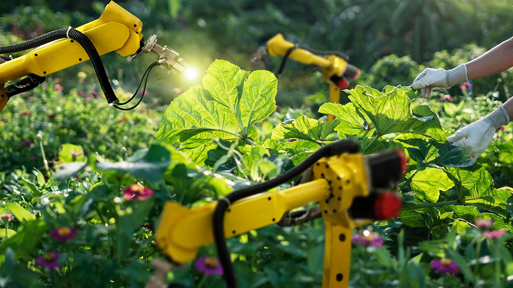 3 Things That Will Amaze You About Agri-Tech